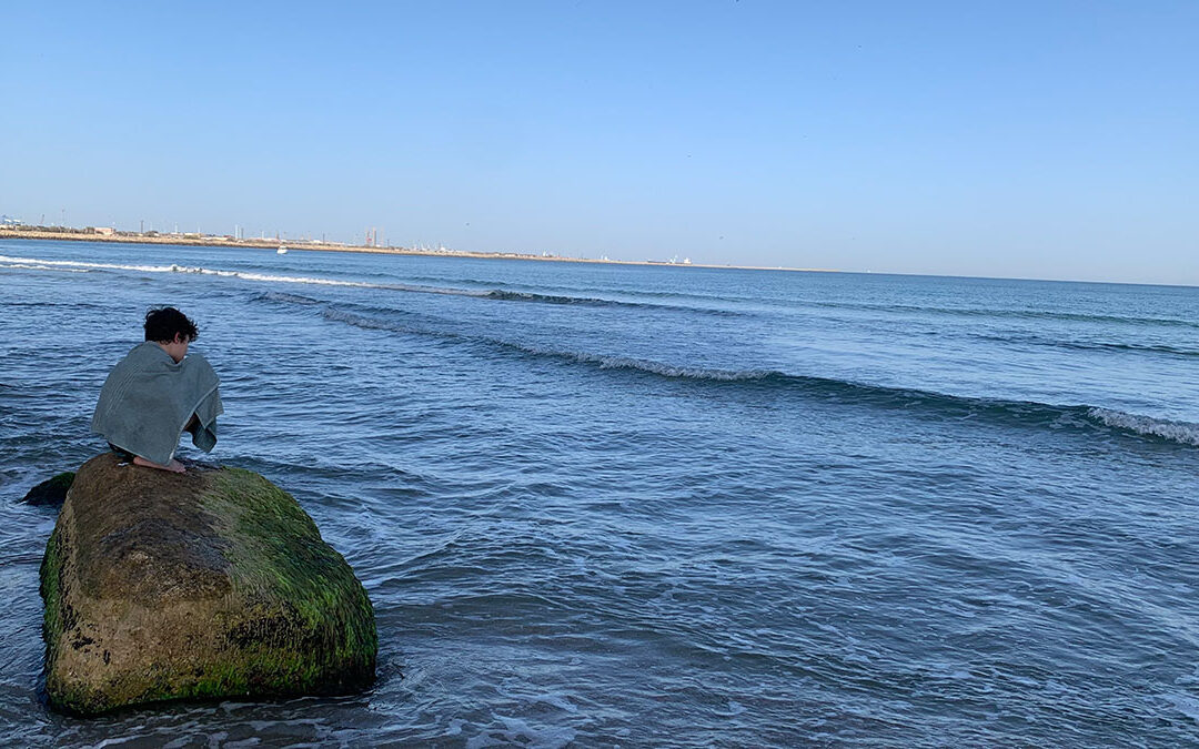 Despre acvile și sens